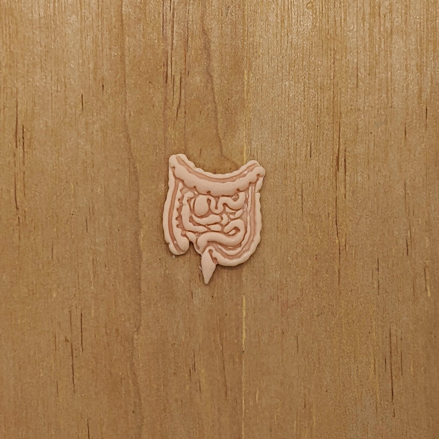 Human Intestines Cookie Cutter: Perfect for Ceramics, Cookies, Polymer Clay & Fondant Creations