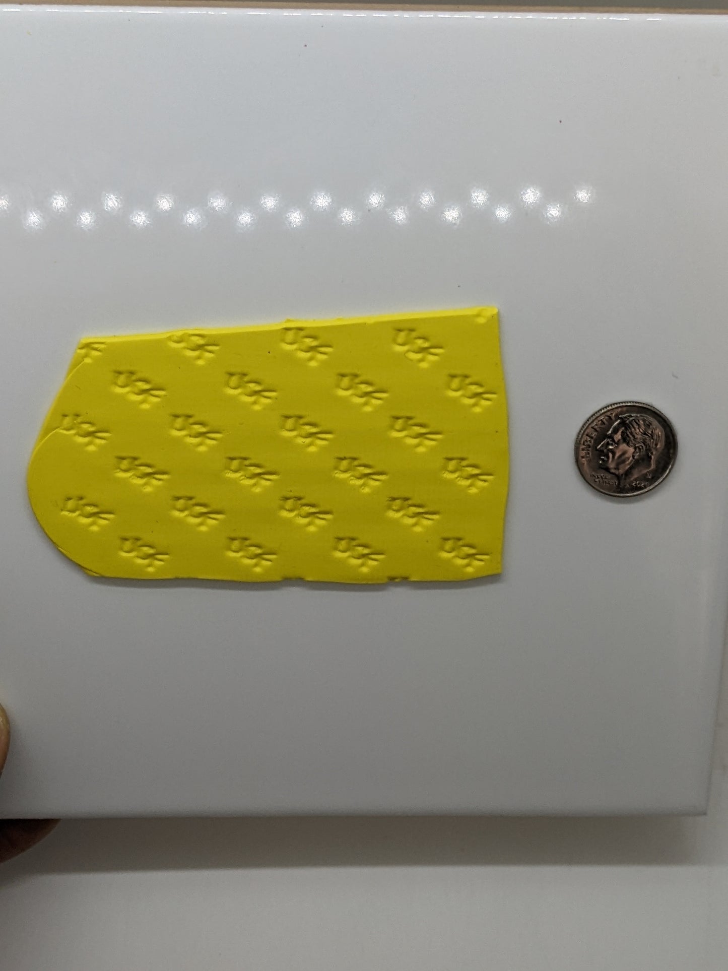 Central Florida UCF Texture Roller