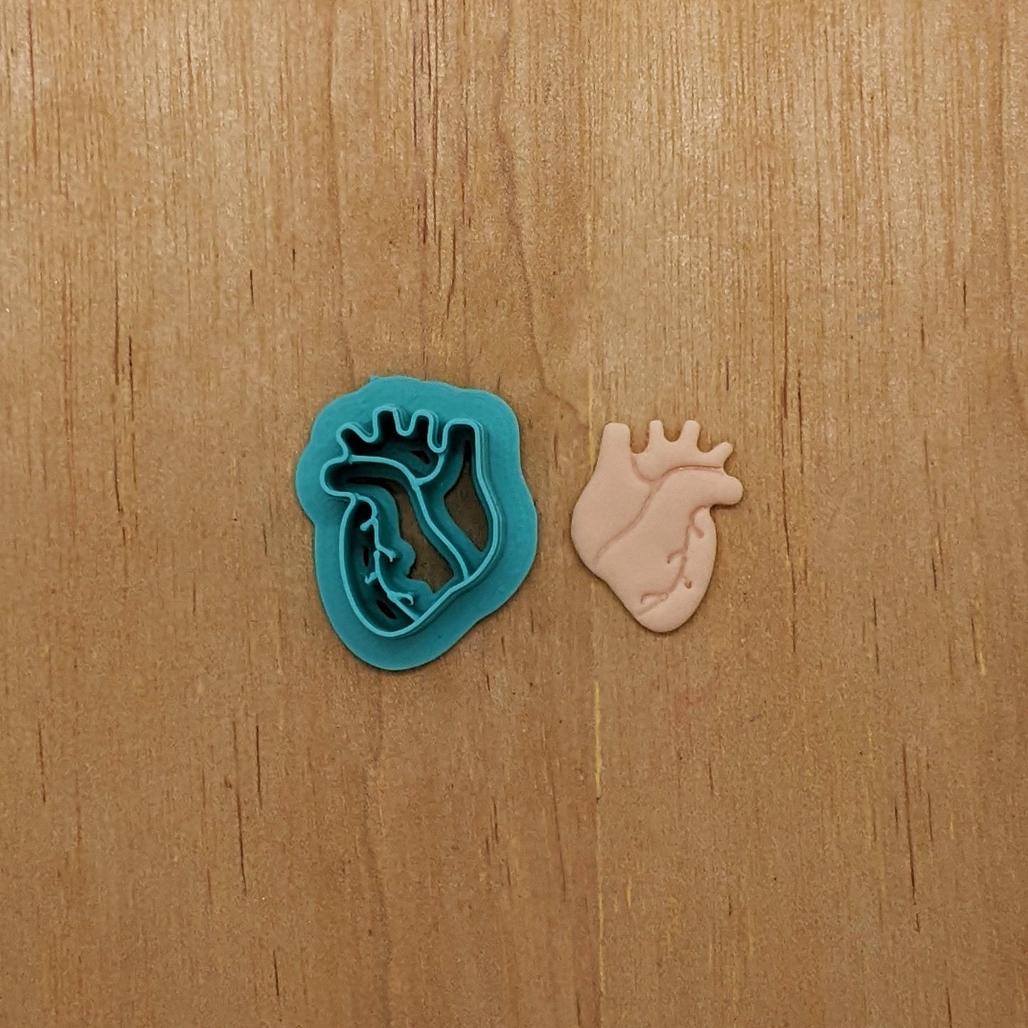 Human Heart Cookie Cutter: Perfect for Ceramics, Cookies, Polymer Clay & Fondant Creations