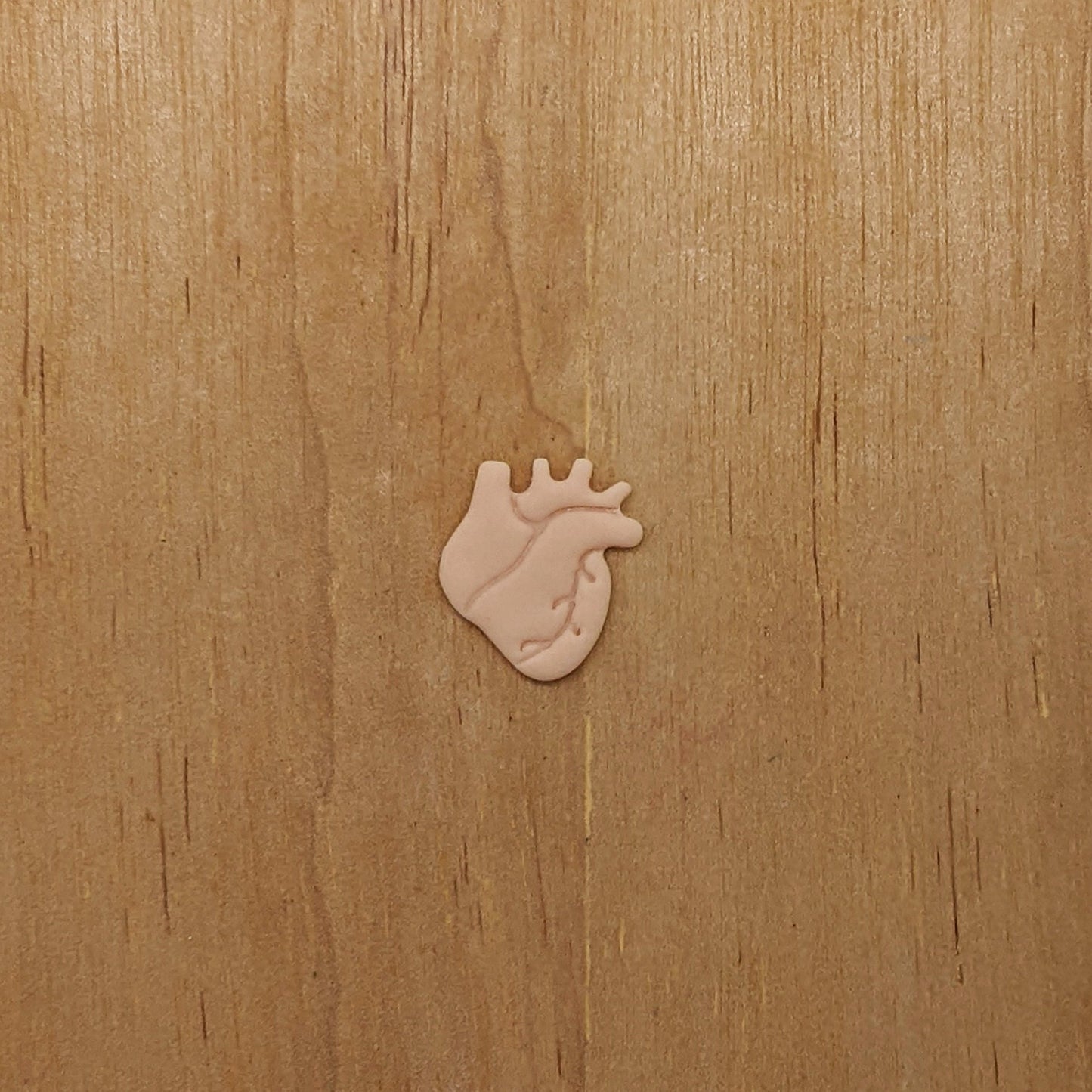 Human Heart Cookie Cutter: Perfect for Ceramics, Cookies, Polymer Clay & Fondant Creations