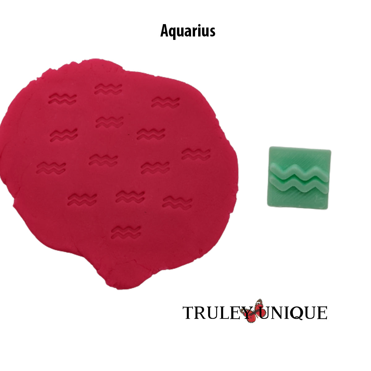 Zodiac Stamp for Cookies, Ceramics, Pottery, Polymer Clay & More, 12 Astrology Sign Options
