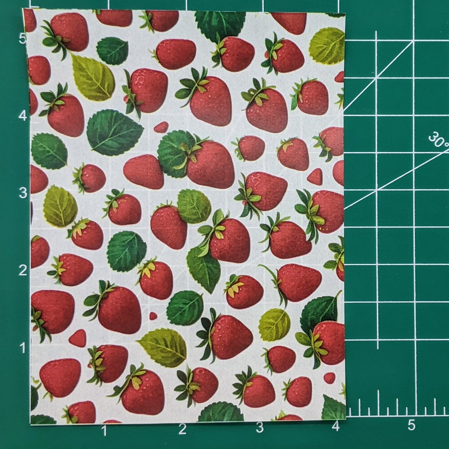 Plump Strawberries and Leaves Water-Soluble Transfer Sheet