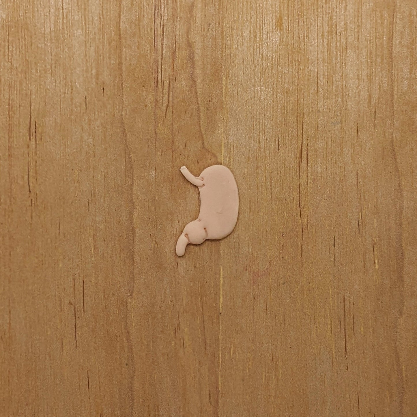 Human Stomach Cookie Cutter: Perfect for Ceramics, Cookies, Polymer Clay & Fondant Creations