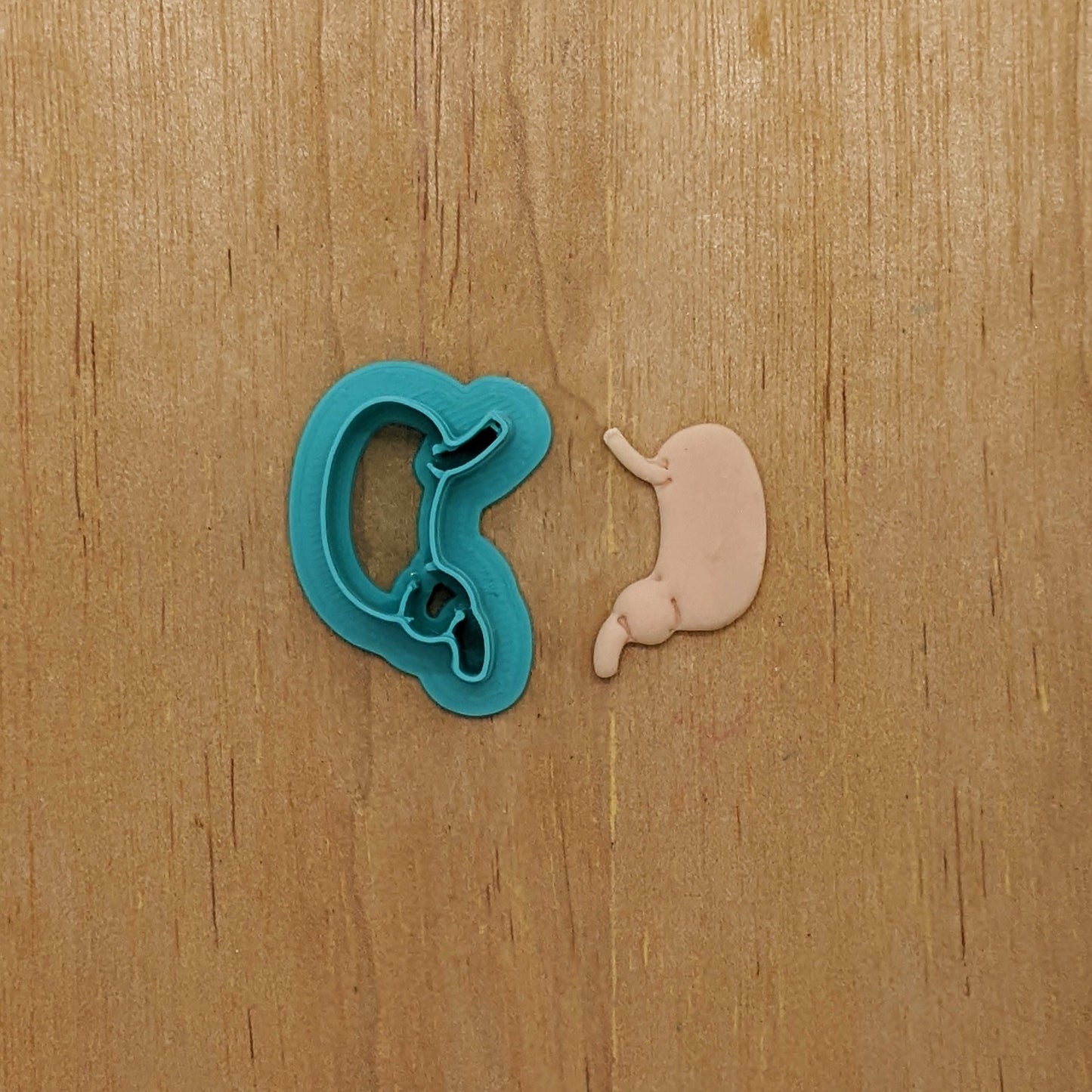 Human Stomach Cookie Cutter: Perfect for Ceramics, Cookies, Polymer Clay & Fondant Creations